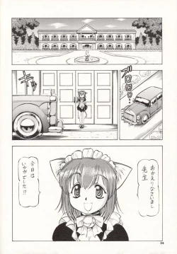 Page 33 of Maid Cats Story