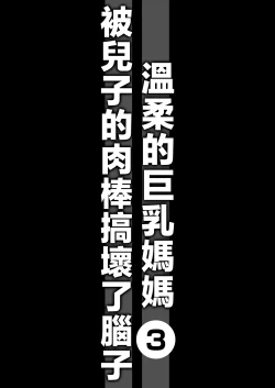 Page 13 of Yasashikute Kyonyuu no Okaasan ga Musuko Chinpo de Baka ni Nacchau Hanashi 3