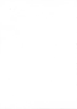 Page 3 of Ikkokukan Kanri Nisshi