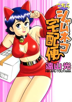 Page 1 of Shamese's Delivery Service