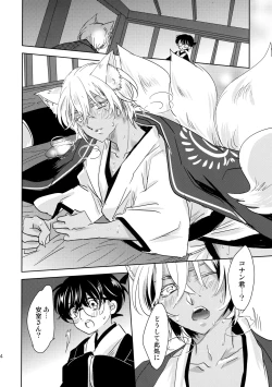 Page 13 of Kinmou Kyuubi no Oyome-san