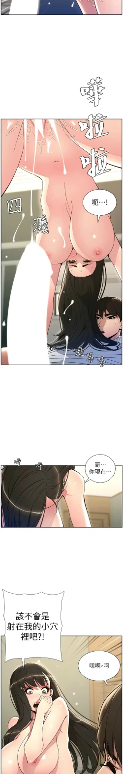 Page 335 of 兄妹的秘密授课／A Secret Lesson With My Younger Sister 1-28