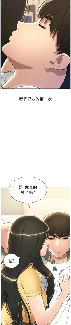 Page 491 of 兄妹的秘密授课／A Secret Lesson With My Younger Sister 1-28