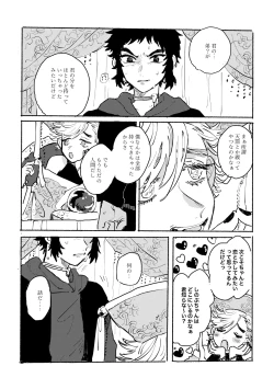 Page 20 of 薄氷に霹靂