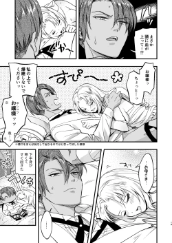 Page 19 of ふたなりお嬢様は従者とお戯れ