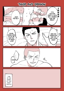 Page 33 of Futsuunohi. | Tiger & Dragon: Ordinary Day