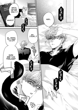 Page 5 of Shito Ame Wan Nyan