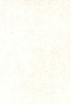 Page 4 of Gohenkankan