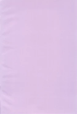 Page 4 of Taichi to Koushirou no Seishun Play