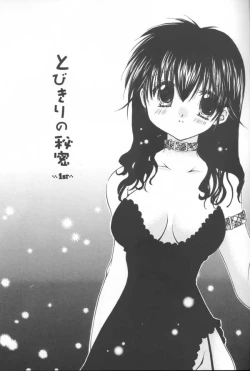 Page 2 of Tobikikiri no Himitsu