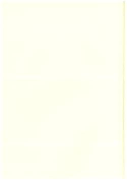 Page 21 of Mikakunin de  Mousou kei