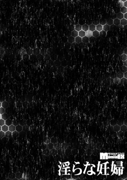 Page 28 of Midara na Ninpu