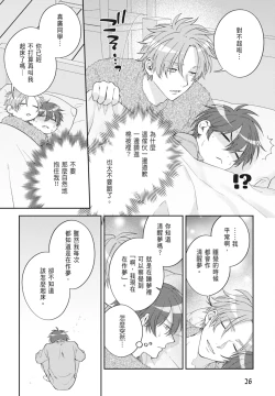 Page 28 of Oujisama no Dakimakura | 王子殿下的抱枕