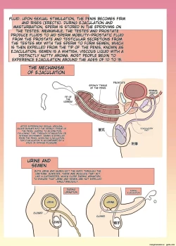 Page 27 of Maid-san to Manabu Onnanoko no Karada