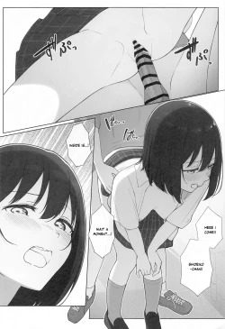 Page 17 of Machi de Souguu Shita Shioriko-chan ni Ecchi na Onegai Shitemita