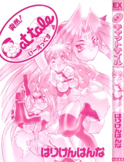 Page 2 of Totsuzen! Cat tale EX