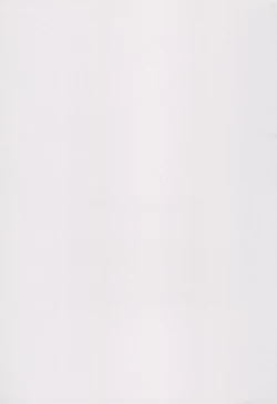 Page 3 of SUICIDE TRAP