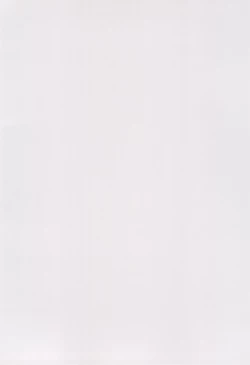 Page 4 of SUICIDE TRAP