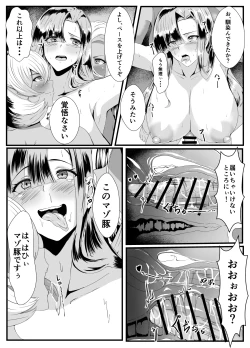 Page 28 of Dark Elf Futanari ga Fukushuu de Mura o Yaku