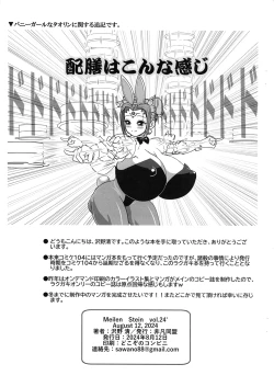 Page 19 of MEILEN STEIN Vol. 24