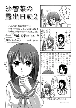 Page 3 of Sachina no Roshutsu Nikki 2