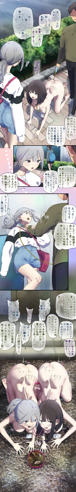 Page 2 of Pet walking part-time job 1 & 2