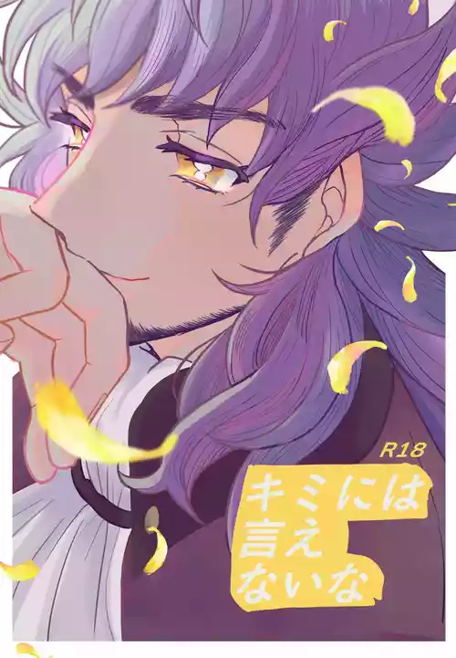 Download Kimi ni wa Ienai na