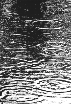 Page 53 of Kyonyuu Jukujo to Koumon Seikou