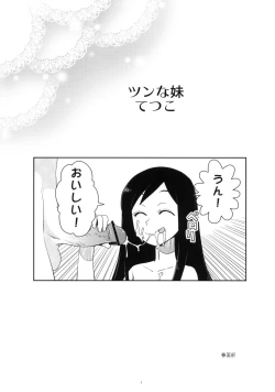 Page 2 of Tsun na Imouto Tetsuko