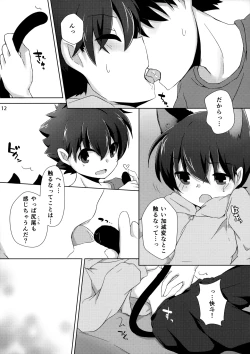 Page 11 of cat fancier