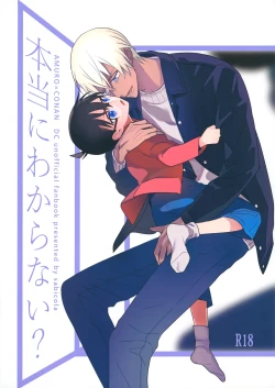 Page 1 of Hontou ni Wakaranai?