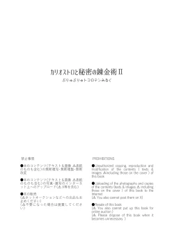 Page 33 of Cagliostro to Himitsu no Renkinjutsu II