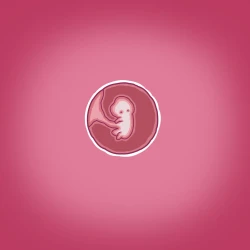 Page 42 of Yumi no Ryuugaku | 由美的留学生活