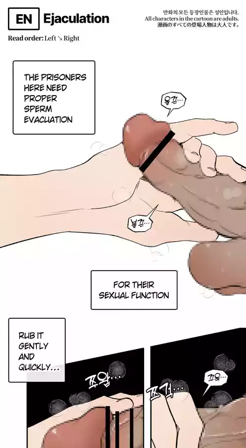 Download 202324 사정