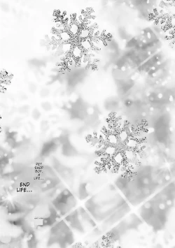 Page 207 of Chincopation