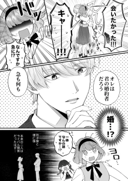 Page 19 of Chuuken Bodyguard ga Nisemono Reijou no Uso to Karada o Abaku made.