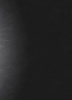 Page 41 of 師弟よ 恋せず愛したまへ