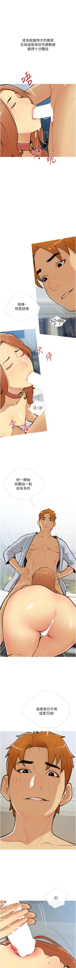 Page 346 of 糖果爸爸的抢婚大作战 | 糖果爸爸的搶婚大作戰 1-35 END