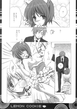 Page 3 of Lemon cookie