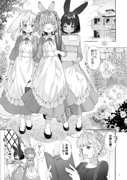 Page 2 of Usamimimaid to koibitoH
