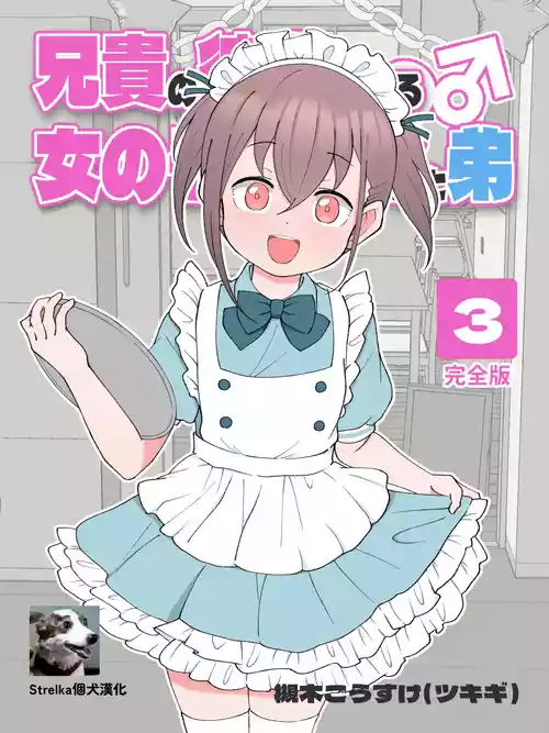 [Tsukigi Kousuke] Aniki no Kanojo ni Naru, Onnanoko ni Nacchatta Otouto 3 [Chinese] [Strelka個犬漢化] [Incomplete]