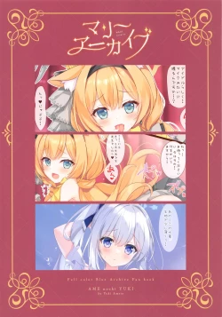 Page 16 of MARI Archive