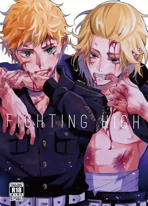Download Fighting high