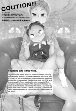 Page 2 of my loveable kitty