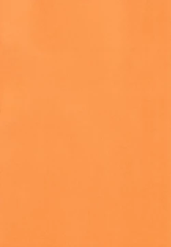 Page 2 of Kimito Nakayoshi.