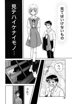 Page 36 of ProjectE Dainiji Chuukanhoukoku