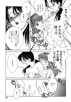 Page 65 of ProjectE Dainiji Chuukanhoukoku