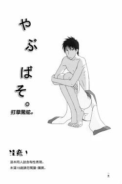 Page 4 of やぶばそ。