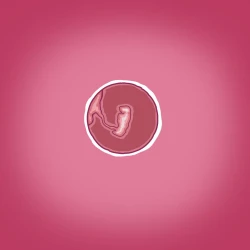 Page 22 of Yumi no Ryuugaku | 由美的留学生活