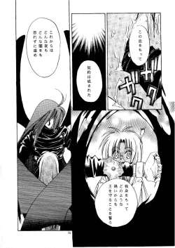 Page 21 of Zero - Hellsing